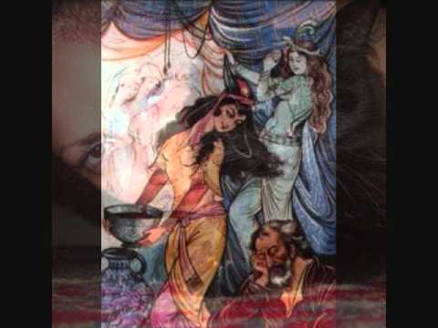 Niloofar by Andy&Kouros Persian Cats