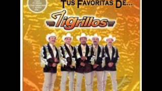 Los Tigrillos - Que Linda Es Lupe