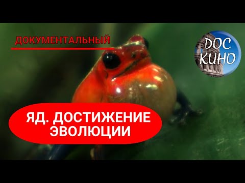 🎭 ЯД.  ДОСТИЖЕНИЕ  ЭВОЛЮЦИИ.🌎 ДОКУМЕНТАЛЬНОЕ КИНО 🎆 2015