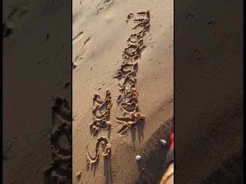 Unforgettable Moments at Nellore Beach with Tana Peru and Friends ✨