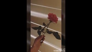 Ø§ÙØªØ§Ø±Ø§Øª Ø®Ù„ÙÙŠØ§Øª Ø¬ÙˆØ§Ù„ Ø®Ù„ÙÙŠØ§Øª ÙØ¶Ø§Ø¡ Ø®Ù„ÙÙŠØ§Øª Ù†Ø¬ÙˆÙ… Ø®Ù„ÙÙŠØ§Øª Ø§ÙŠØ¨Ø§Ø¯ Ø®Ù„ÙÙŠØ§Øª Ø§ÙŠÙÙˆÙ† Ø®Ù„ÙÙŠØ§Øª Ù‡ÙˆØ§ÙˆÙŠ Ù…ÙˆØ³ÙŠÙ‚Ù‰ Ù…Ø¬Ø§Ù†ÙŠØ© Mp3