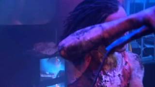 Skinny Puppy - Testure (The Greater Wrong Of The Right Live)