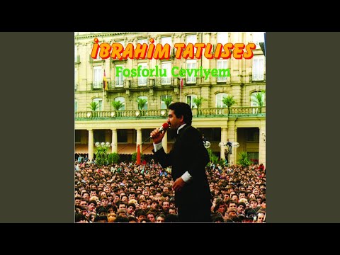 Beyaz Gül Kırmızı Gül