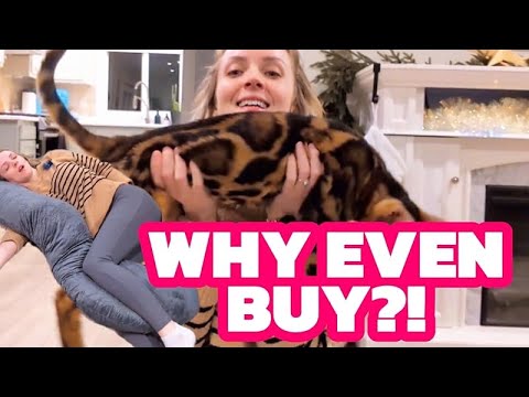 I'm Not Even Pregnant | ALLOPERA Pregnancy Pillow Full Body 57 Inch with Washable Cover