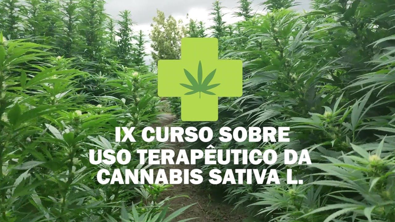 8ª Aula: Uso da Cannabis sativa L. nas Epilepsias - Professor Pedro Melo