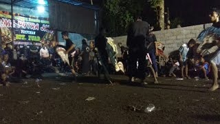 Download lagu kesurupan masal jaranan lima putra jaya live balung kopi mp3