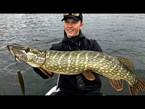 Fat winter pike guaranteed! 5 tips for winter pike fishing!