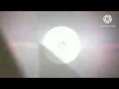 abertura do menu do dvd do animazoo