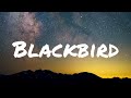 Blackbird Lyrics Paul McCartney The Beatles