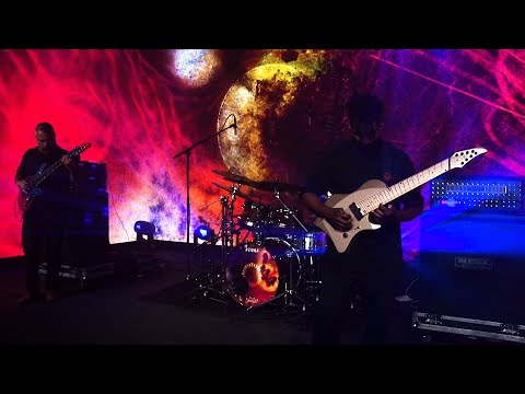 ANIMALS AS LEADERS - Tooth & Claw (Live in Anaheim 2020)