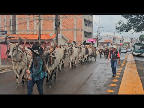  O MAIOR DESFILE QUE NOVA RESENDE JA VIU UM CLÁSSICO DOS DESFILE DE CARRO DE BOI 