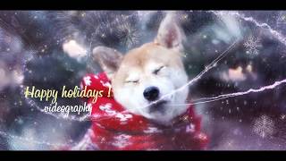 Free Template AE - 188