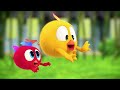 Jardim Da Chicky Onde Está Chicky Pintinha Amarelinho Coleção Desenhos Animados Infantil HD