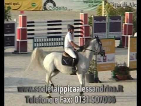 SPOT CITTADELLA DI ALESSANDRIA .avi