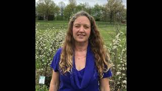 GardenDC Podcast Episode 210: Fall Garden Prep