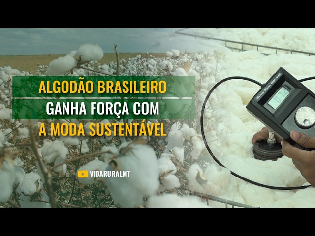 ALGODÃO BRASILEIRO GANHA FORÇA COM A MODA SUSTENTÁVEL