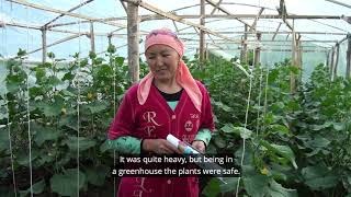 Meet Urusalieva Sabira, an organic farmer from Kyrgyzstan 🇰🇬