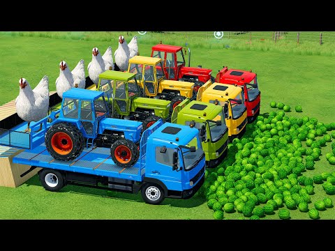 TRANSPORT GIANT CHICKENS & LOAD WATERMELONS WITH FENDT TRACTORS - Farming Simulator 22