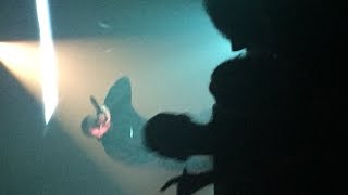 Vince Staples Jump Off The Roof Live