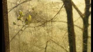 Matt Pryor - My Old Man Had a Pistol (COVER)