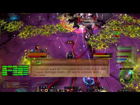 The Inconspicuous Bear - Heroic Nythendra Guardian Guide