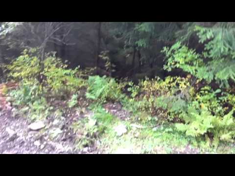 Самакова — Відео