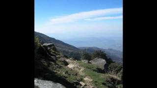 Natty Farma - Find Jah Love