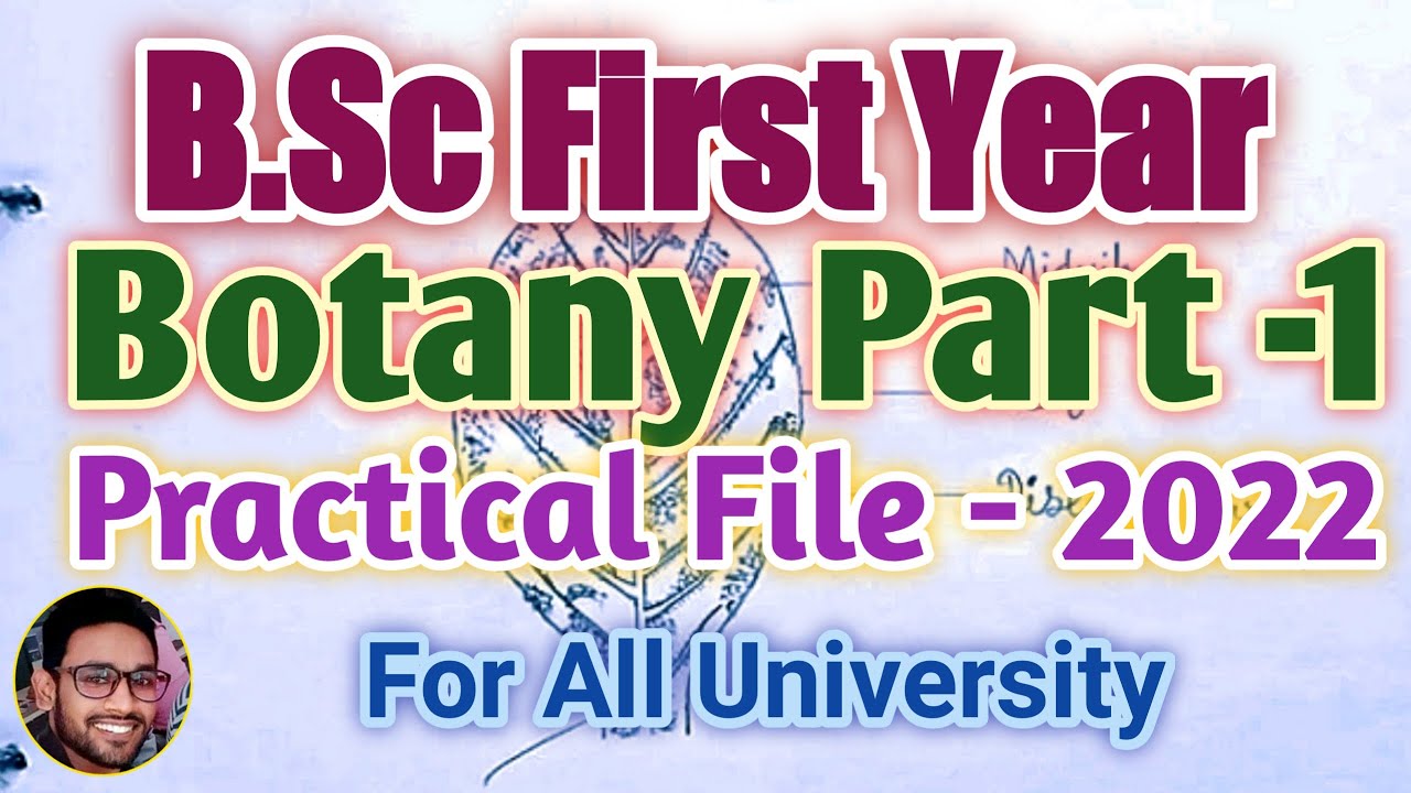 B.Sc First Year Botany practical file 2022-23 | B.Sc Botany practical file | Botany practical file |