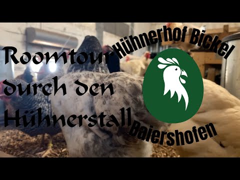 Roomtour durch den Hühnerstall -- Hühnerhof Bickel