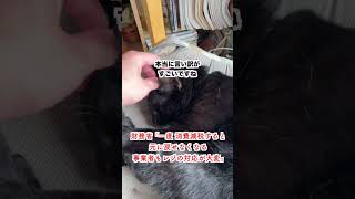 【激怒】財務省「一度 消費減税すると元に戻せない！それに会計の対応も大変だ」