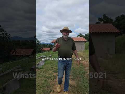 Propriedade Rural Alto Padrão à Venda 21.000m2 em Andradas MG #shorts #reels #Instagram Creci 41284J