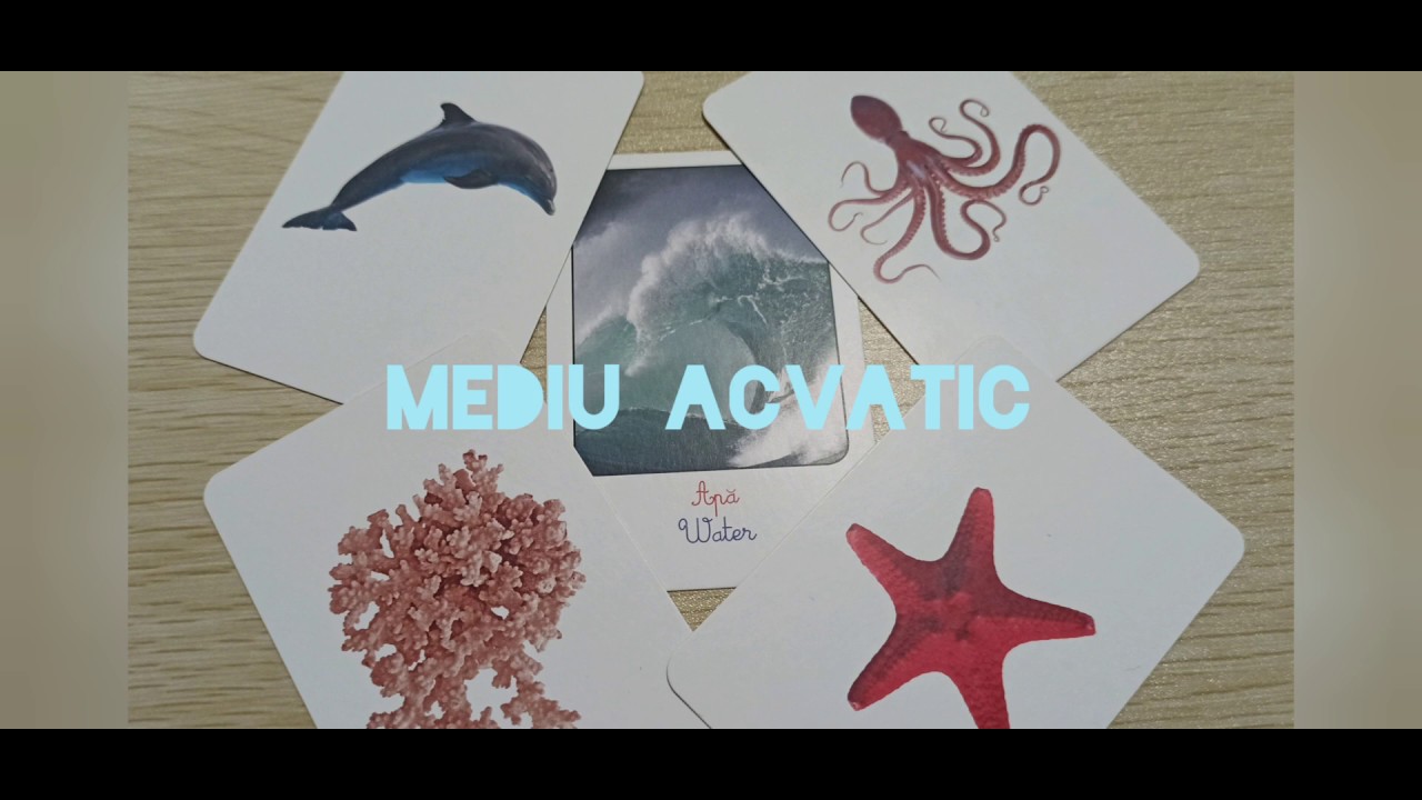 Medii de via?? ?i vie?uitoare