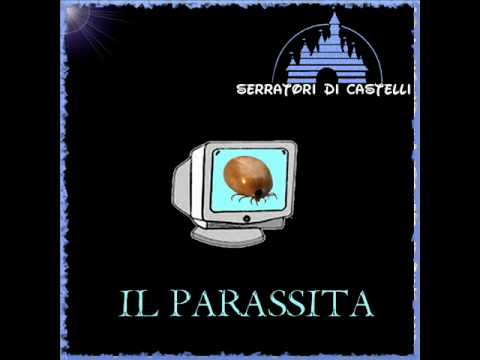 I parassiti e la loro fotografia che sono nella persona I sintomi di vermi come trattare