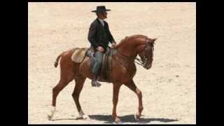preview picture of video 'Feira do cavalo, Cabeceiras de Basto'