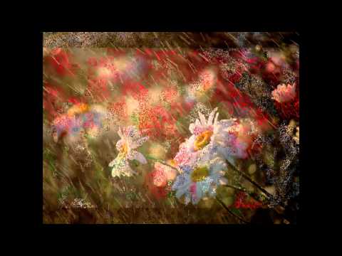 Veronica-  Jieni jud Olt.