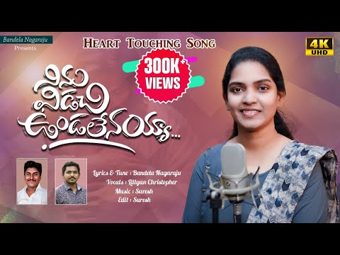 Ninu Vidachi Vundalenayya