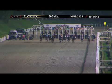 CARRERAS  HIPODROMO MARONAS 16/9/23 - URUGUAY