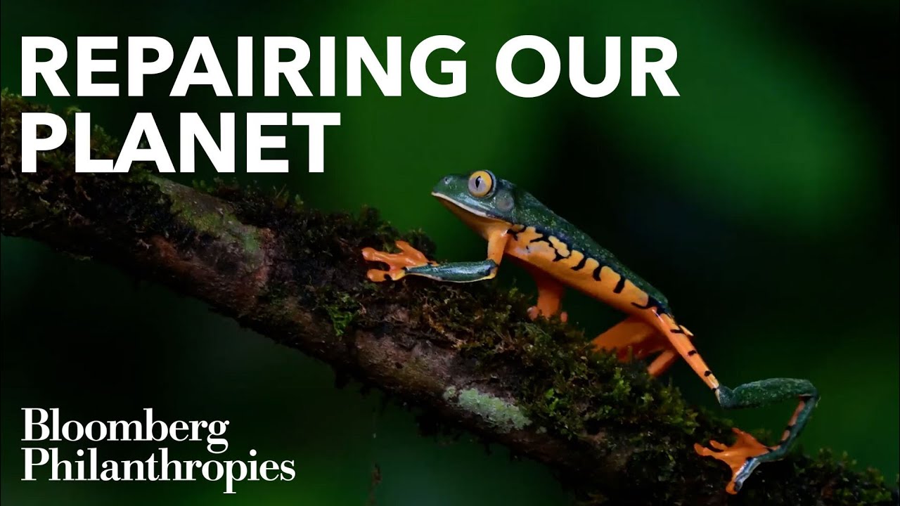 Innovations Addressing Our Most Pressing Environmental Challenges | Bloomberg Philanthropies