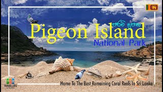 Pigeon Island National Park  Trincomalee  Sri Lank
