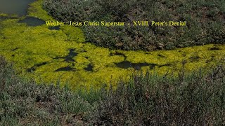 Webber : Jesus Christ Superstar  -  XVIII. Peter's Denial