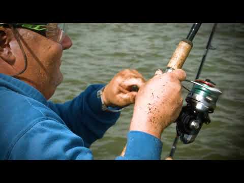 VGB Bait Factory Ketelmeer 85,650 kg in 5 uur