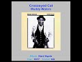 MUDDY WATERS    "Crosseyed Cat"    1977 - Stray Music Tracks From DavoRobbo MUDDY WATERS    "Crosseyed Cat"    1977
