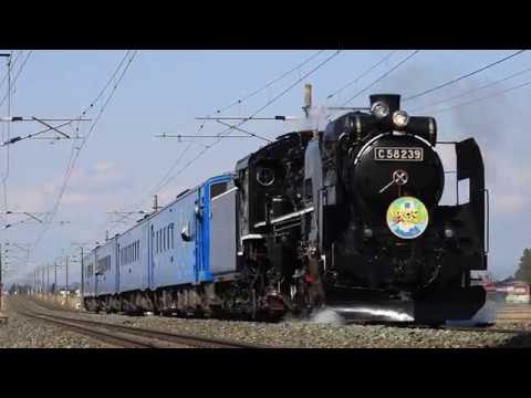 東北本線 C58形+キハ141系 9532レ「SL銀河いわて幸せ大作戦」 水沢～陸中折居 2019年4月6日