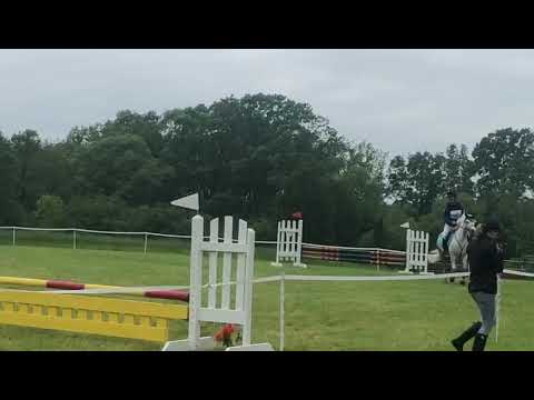 Ice Age Show jumping GVRDC BN June 2019