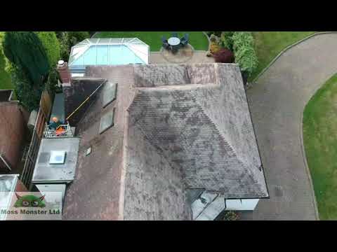 MOSS MONSTER LTD video.