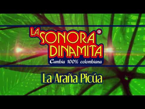 La Araña Picúa - La Sonora Dinamita (Audio)