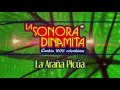 La Araña Picúa - La Sonora Dinamita [Audio]