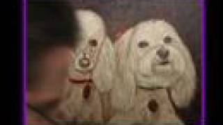 Maltese and poodle art