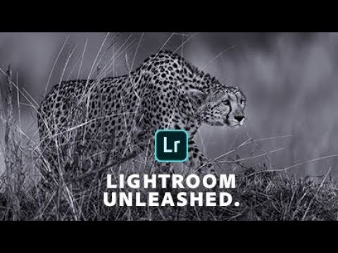 Lightroom Unleashed - Use Split Toning to Bring Black & White Images to Life I Adobe UK
