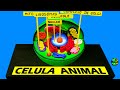 Como hacer una  MAQUETA CELULA ANIMAL